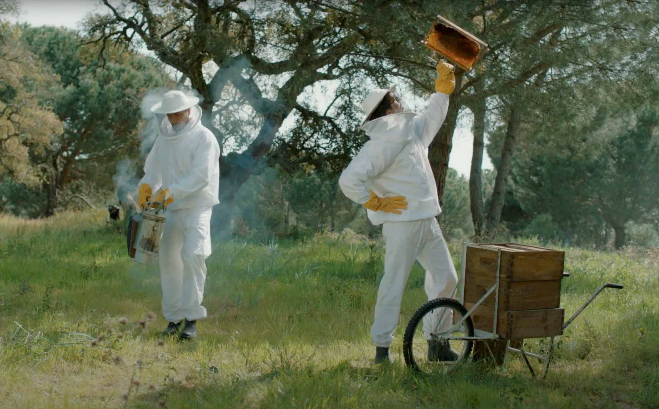 As 5 Semanas Mais Baratas